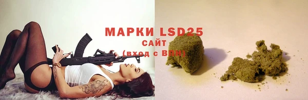 ГАЛЛЮЦИНОГЕННЫЕ ГРИБЫ Карпинск