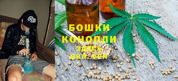 ГАЛЛЮЦИНОГЕННЫЕ ГРИБЫ Карпинск