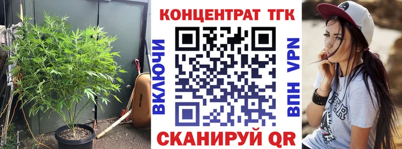Купить где  Рыбное  Дистиллят ТГК THC oil 